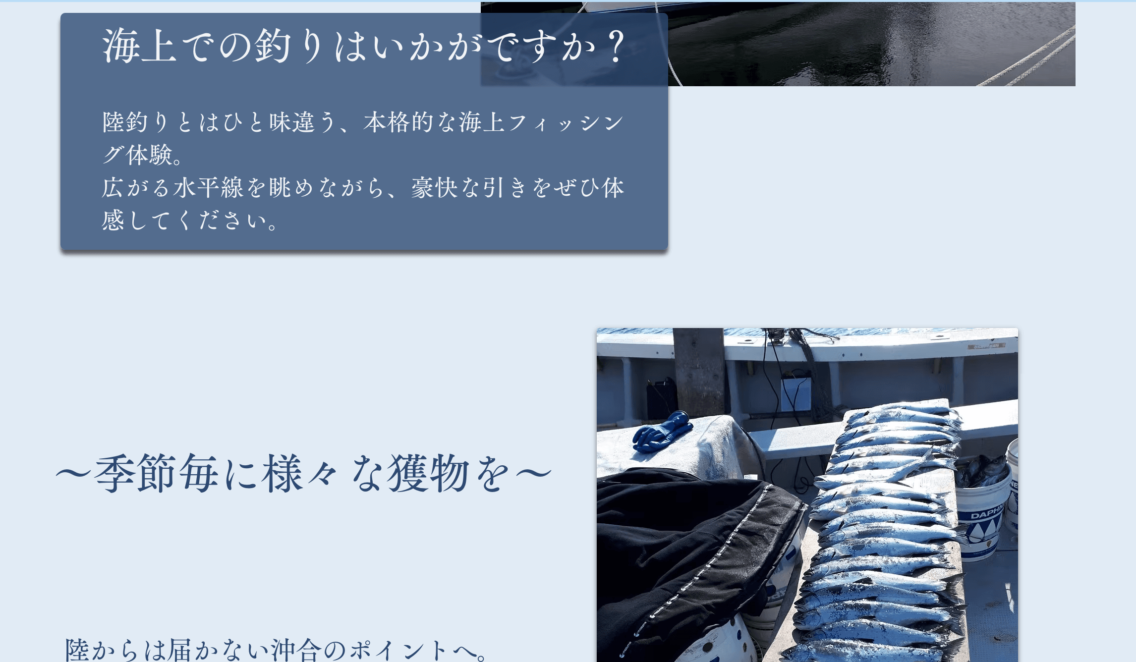 海上フィッシングサイトの実績イメージ